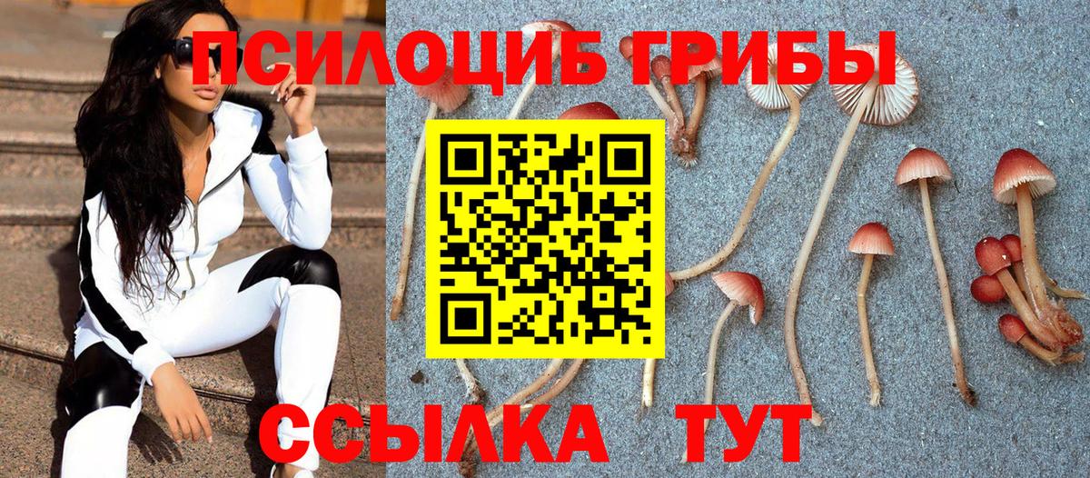 Псилоцибиновые грибы мухоморы Красногорск